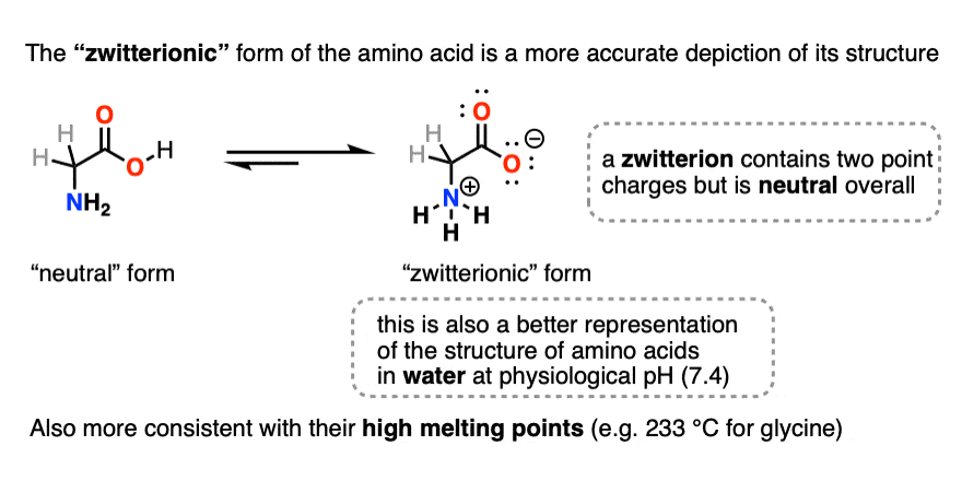 zwitterionic form of amino acids is more accurate than their neutral form after acid base