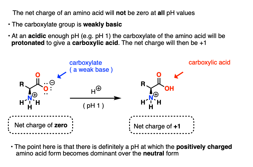 at strongly acidic pH carboxylate of amino acid will be protonated and net charge is plus 1