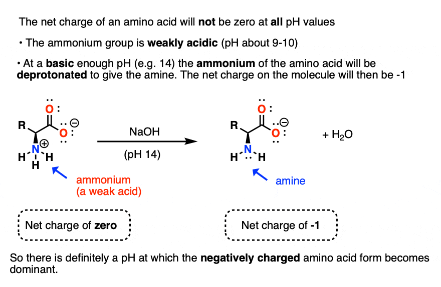 under strongly basic conditions ammonium of amino acid will be deptoronated