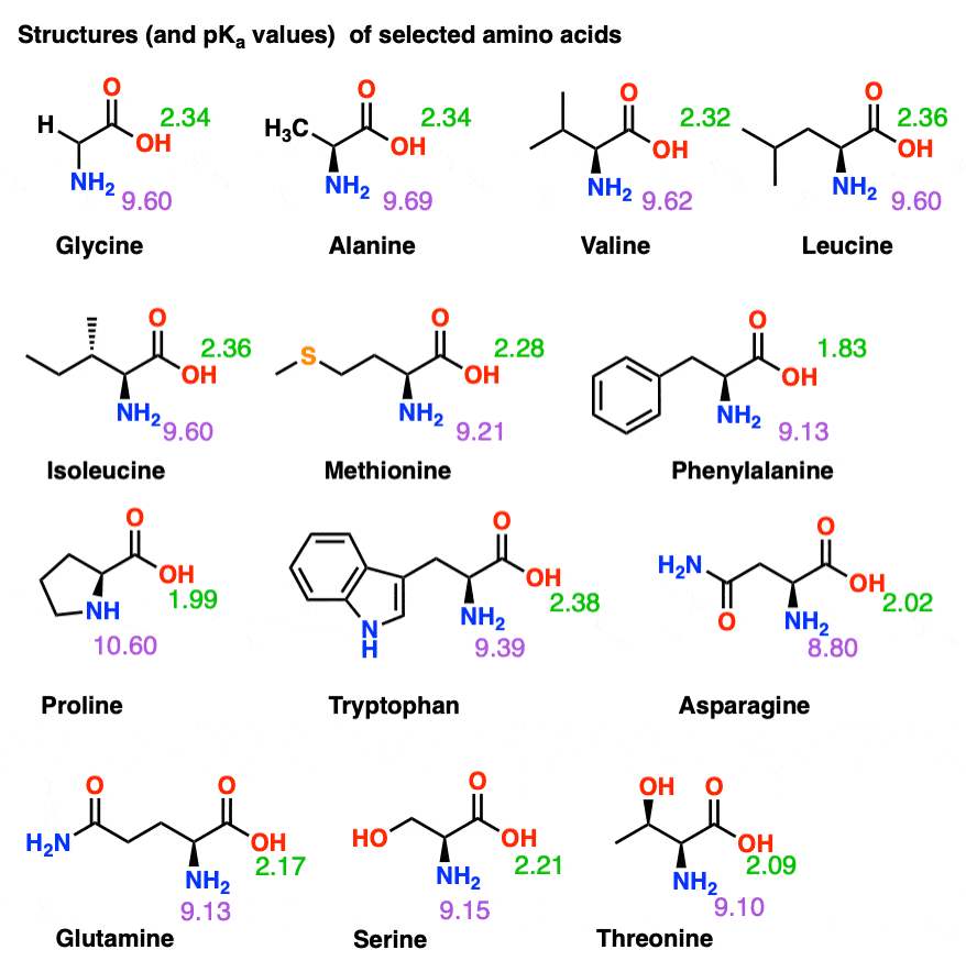 pka values and structures of selected amino acids glycine alanine tryptophan