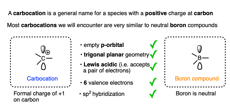 description of a carbocation as a general name for a species bearing a positive charge on carbon