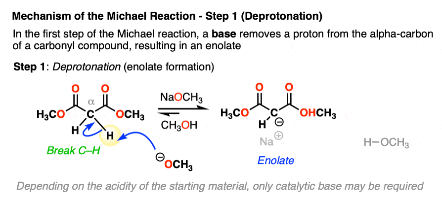 the first step of the michael reaction is deprotonation of the starting carbonyl carbon to give an enolate