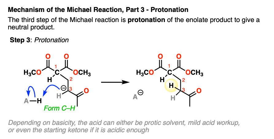 the third step of the mechanism of the michael reaction is protonation of the resulting enolate to give a neutral michael addition product