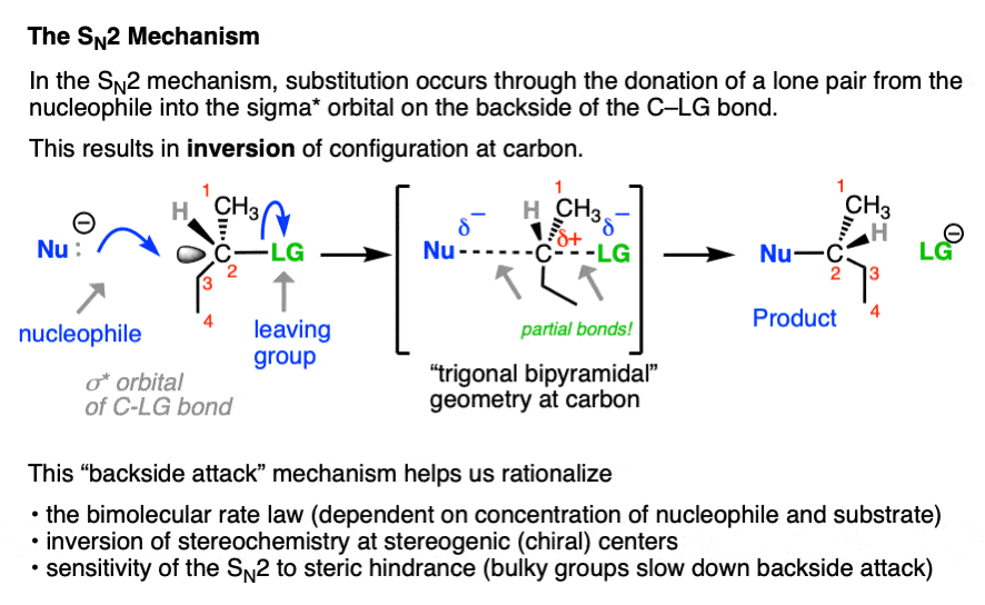 mechanism of the sn2 reaction showing concerted transition state and inversion of configuration