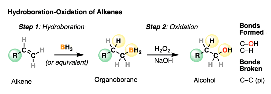 hydroboration-oxidation of alkenes with bh3 or related reagents gives alcohols with hydroxyl group on least substituted carbon of alkene