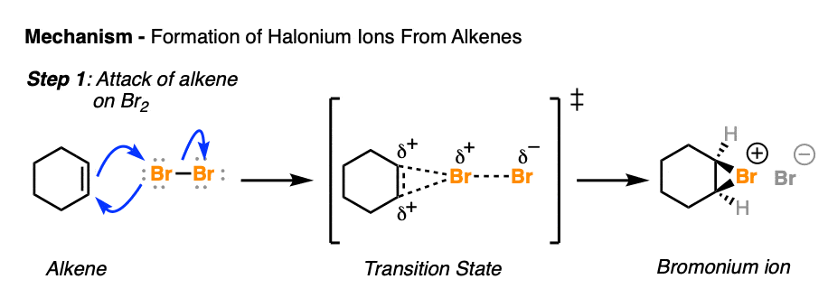 mechanism for the formation of halonium ion bromonium ion from cyclohexene and bromine