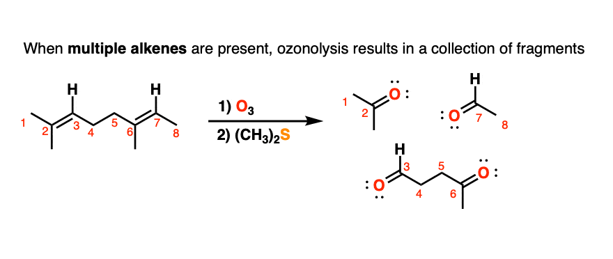 ozonolysis of a molecule with multiple alkenes results in multiple fragments