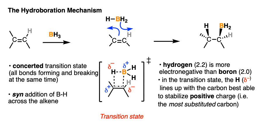 -mechanism for hydroboration reaction with bh3 and transition state involves concerted syn addition lining up partial charges