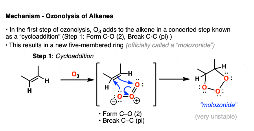 Step 1 of the ozonolysis of alkenes involves a concerted cycloaddition reaction and breakage of C-C pi bond and formation of new C-O bonds