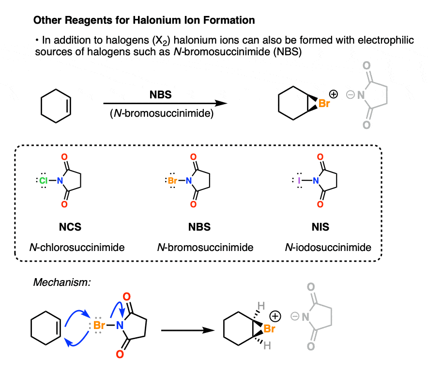 formation of halonium ions with ncs nbs nis halosuccinimides