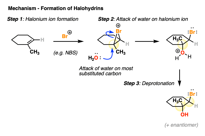 of mechanism acid n hydrolysis bromosuccinimic