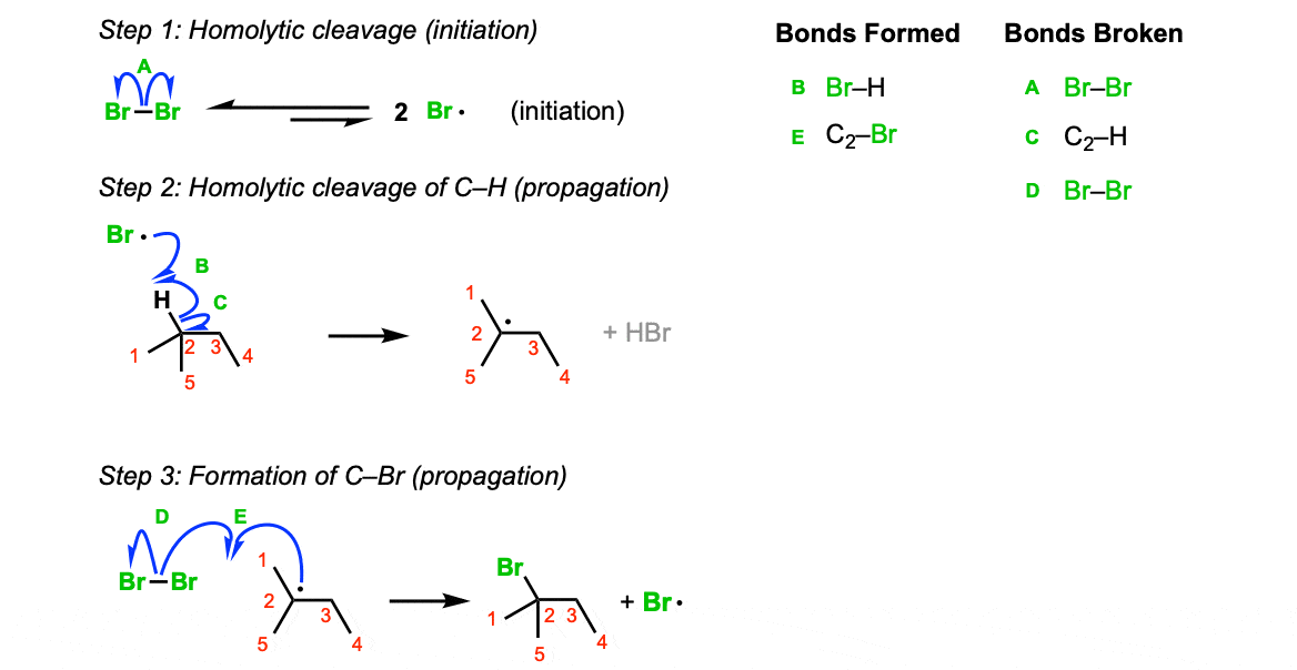 bromination of alkenes mechanism showing initiation with heat or light propagation removal of ch bond and propagation step 2 attack of radical on br2