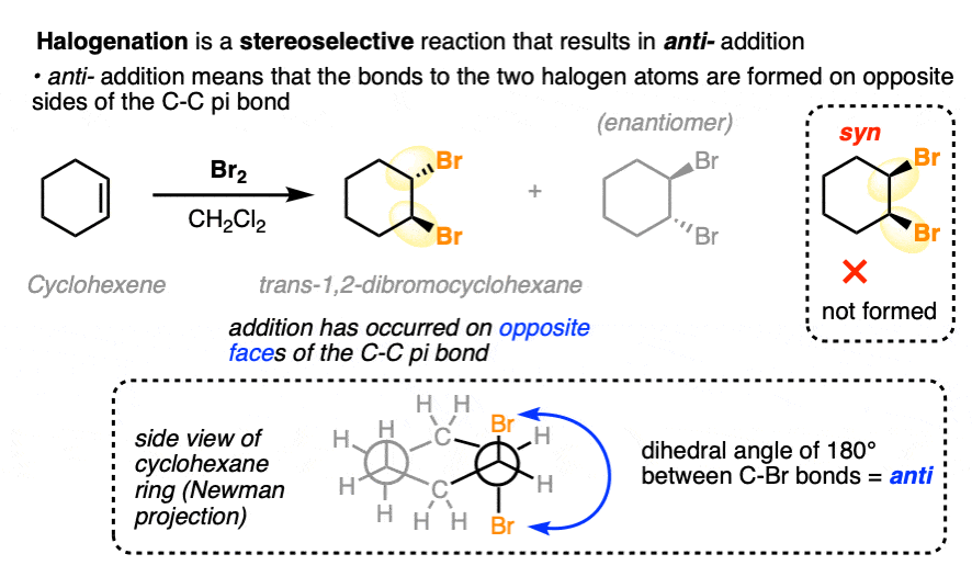 halogenation of alkenes with br2 or cl2 is selective for anti products - dihedral angle - cyclohexene