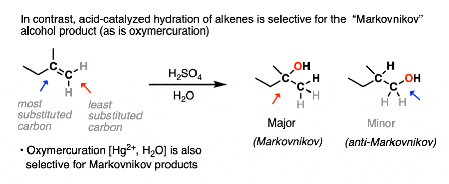 -acid catalyzed hydration of alkenes and oxymercuration are selective for the markovnikov hydration of alkenes