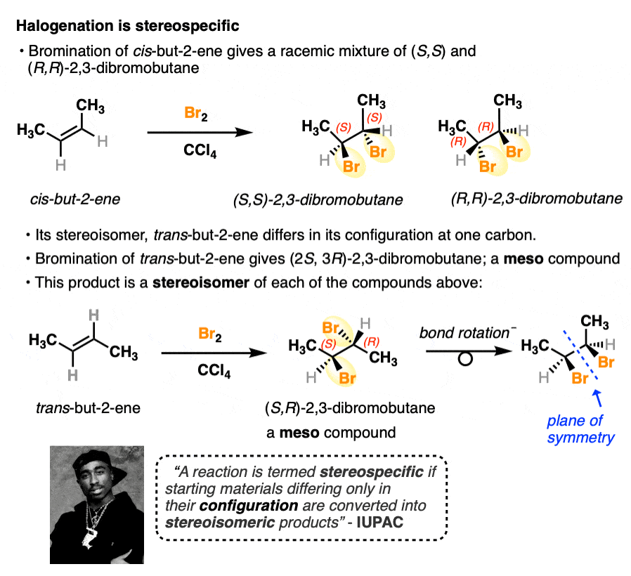 halogenation is stereospecific - halogenation of cis and trane 2-butene gives products that are stereoisomers