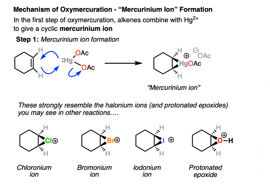 -oxymercuration demercuration of alkenes proceeds with high stereoselectivity for the anti products