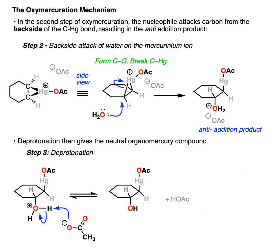 mechanism of oxymercuration step 2 is attack of nucleophile on mercurinium ion to give anti addition product