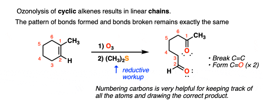 ozonolysis of cyclic alkenes with O3 results in chains containing aldehydes or ketones