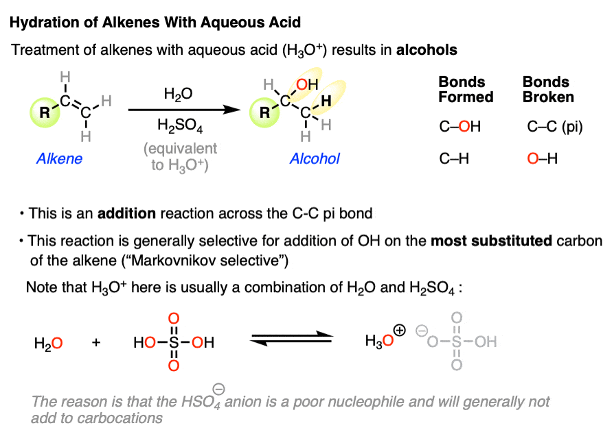 acid catalyzed hydration of alkenes to give markovnikov alcohols overview using h3O
