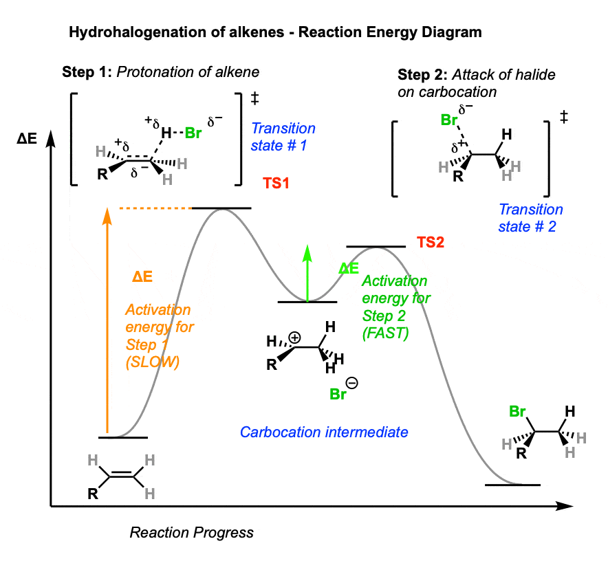 reaction energy diagram for addition of HX to alkenes hydrohalogenation transition state