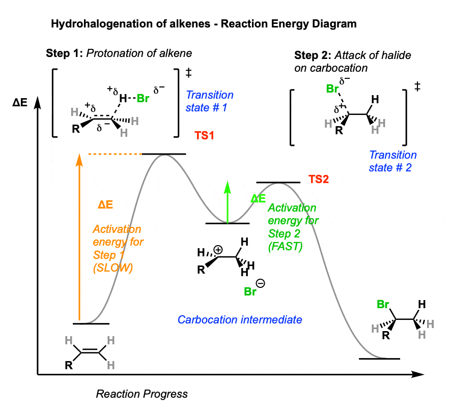 Hydrohalogenation of Alkenes and Markovnikov's Rule – Master Organic  Chemistry