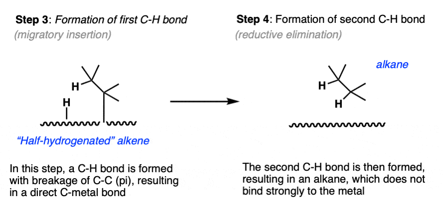 Palladium on Carbon (Pd/C) for Catalytic Hydrogenation – Master Organic  Chemistry