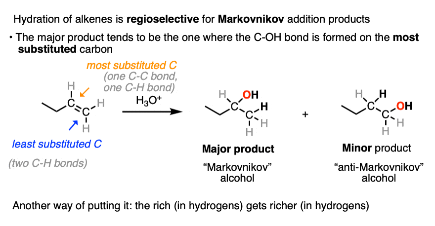 hydration of alkenes with acid is selective or marknovnikov addition produdcts OH is formed on most substituted alcohol