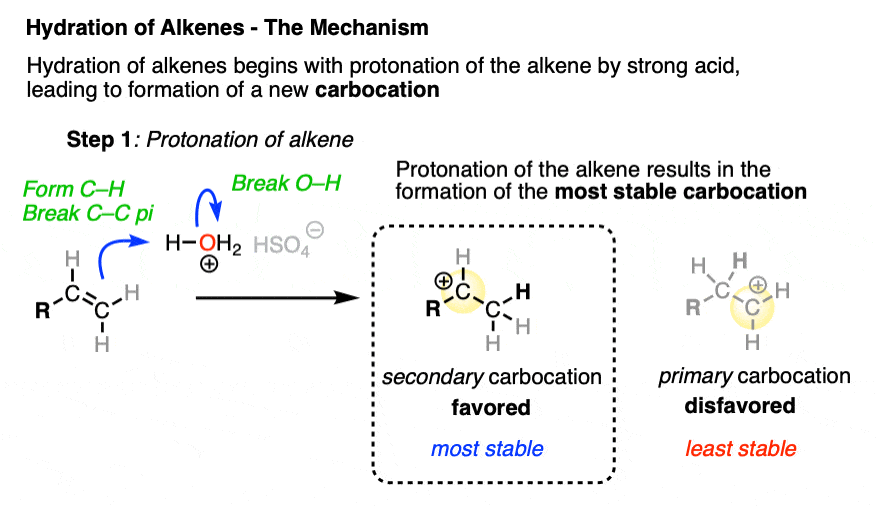 mechanism of acid catalyzed hydration addition of water to alkenes gives most stable carbocation preferentially