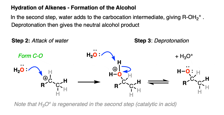 mechanism of acid catalyzed hydration addition of water to alkenes gives most stable carbocation preferentially