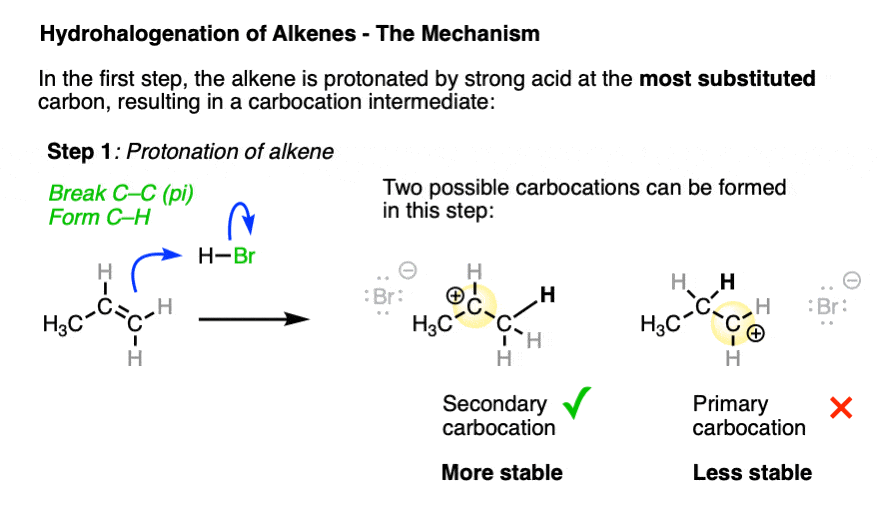 mechanism of hydrohalogenation of alkenes - first step is protonation of alkene to give carbocation