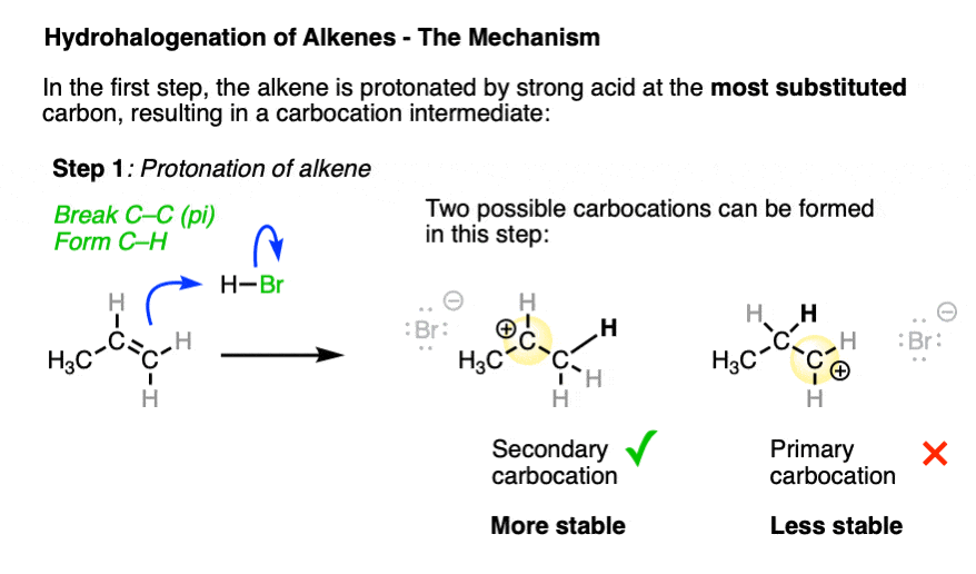 Hydrohalogenation of Alkenes and Markovnikov's Rule – Master Organic  Chemistry