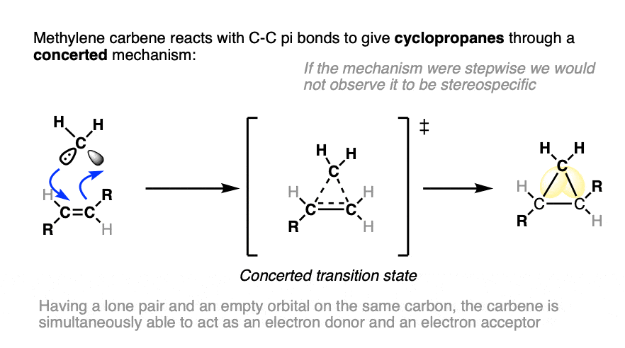 reaction of methylene carbene with alkenes to give a new cyclopropane transition state mechanism