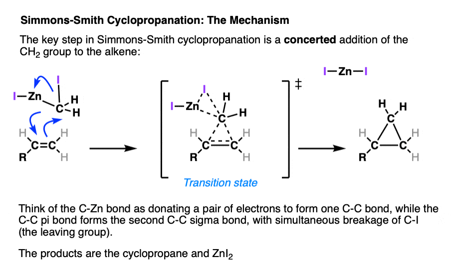 mechanism for cyclopropanation in the simmons smith reaction concerted addition to alkenes