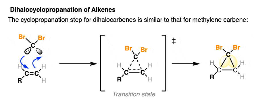 mechanism for the dihalocyclopropanation of alkenes with dihalocarbenes