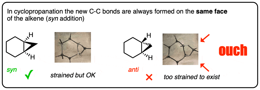 cis and trans cyclopropanes and why trans cyclopropanes are too strained to exist