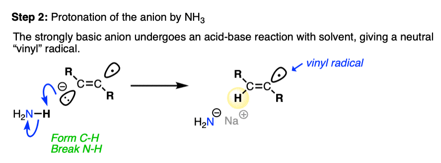 mechanism of na nh3 reduction step 2- protonation of vinyl anion with NH3 gives vinyl radical