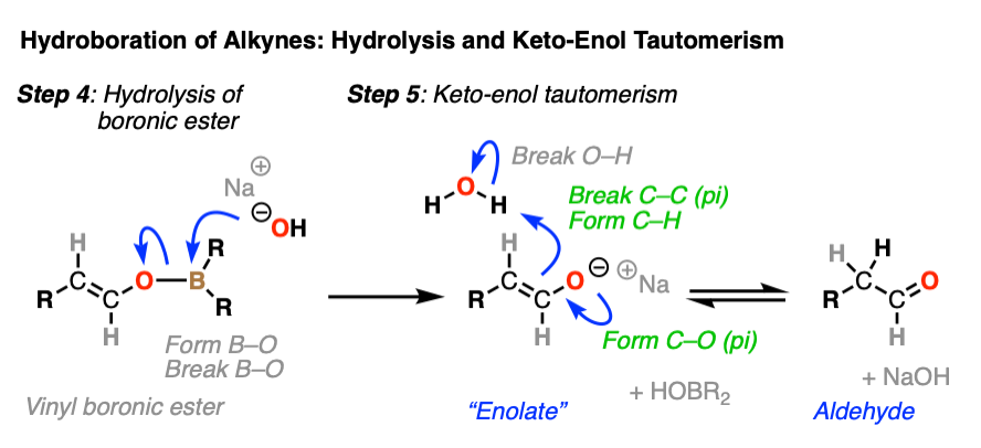 mechanism for hydrolysis of vinyl boronic ester and keto enol tautomerism