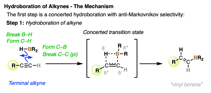 mechanism for hydroboration of alkynes part 1 - hydroboration