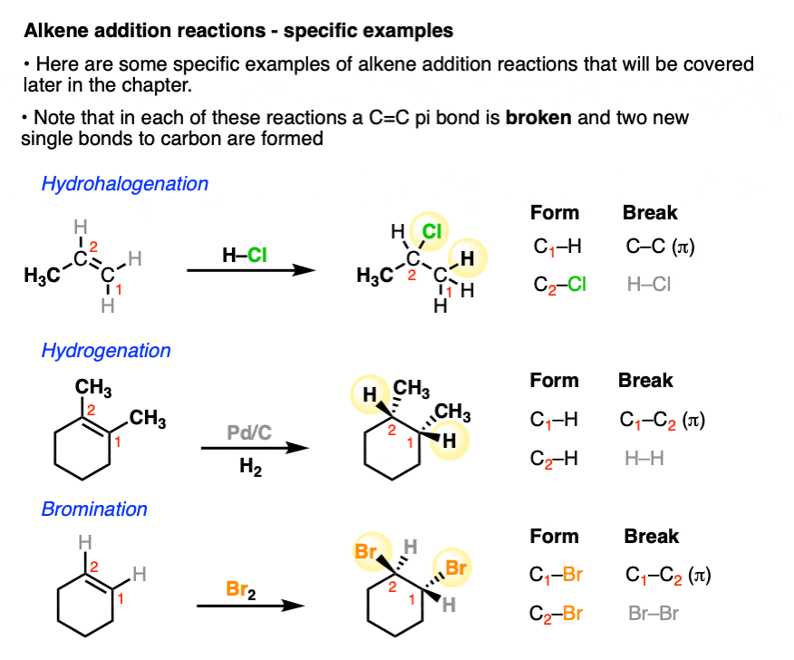 specific examples of alkene addition reactions include hydrogenation halogenation HX addition