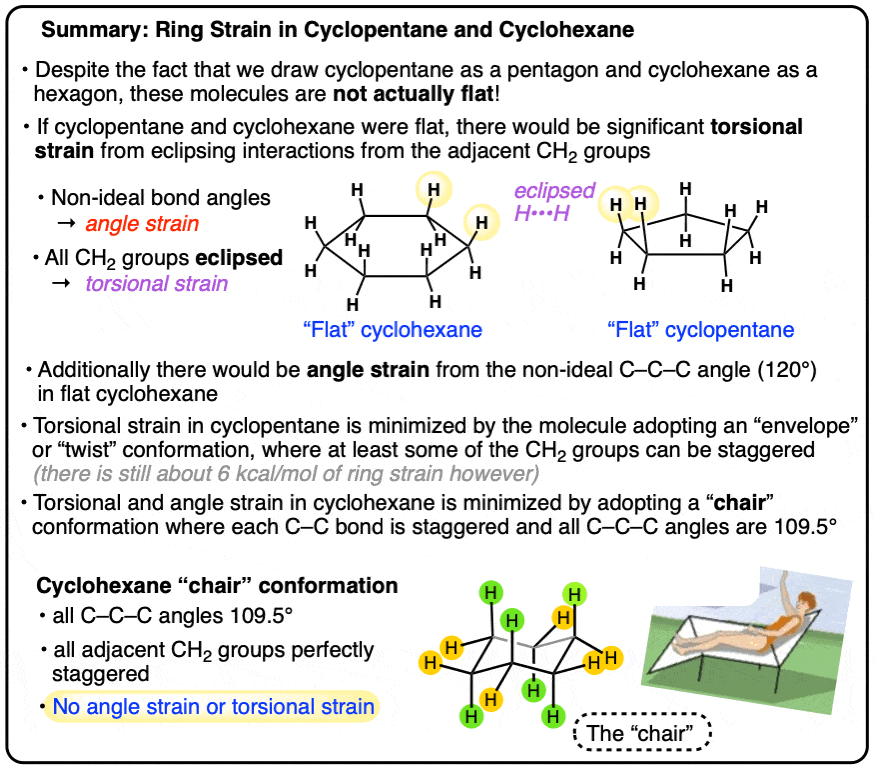 ring strain in cyclopentane and cyclohexane - cyclohexane adopts cyclohexane chair conformation