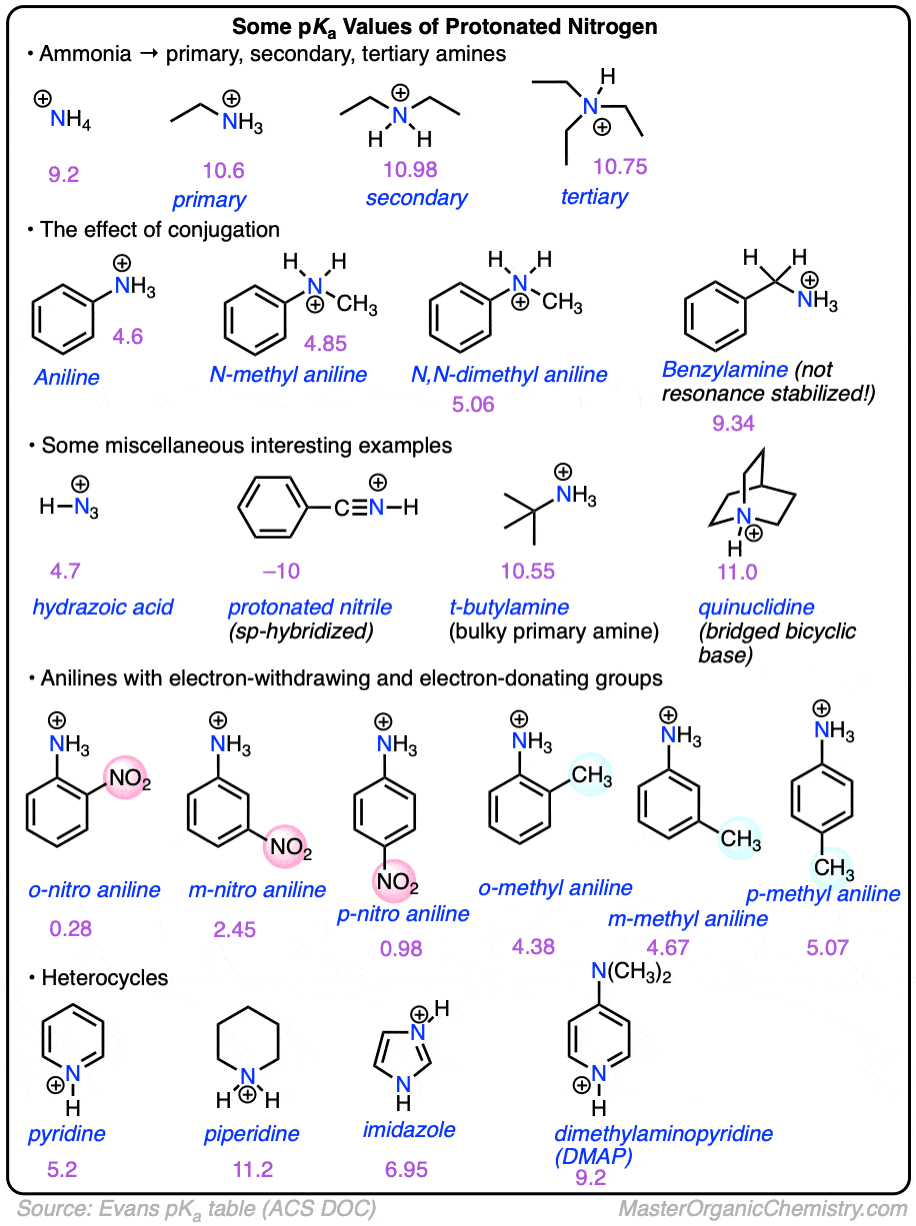 Some pka values of protonated amines - pkaH - primary secondary tertiary amines heterocycles hydrazoic acid and more