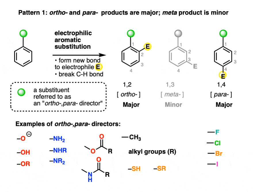 what is an ortho para director - gives mostly ortho and para products in electrophilic aromatic substitution with examples-edit