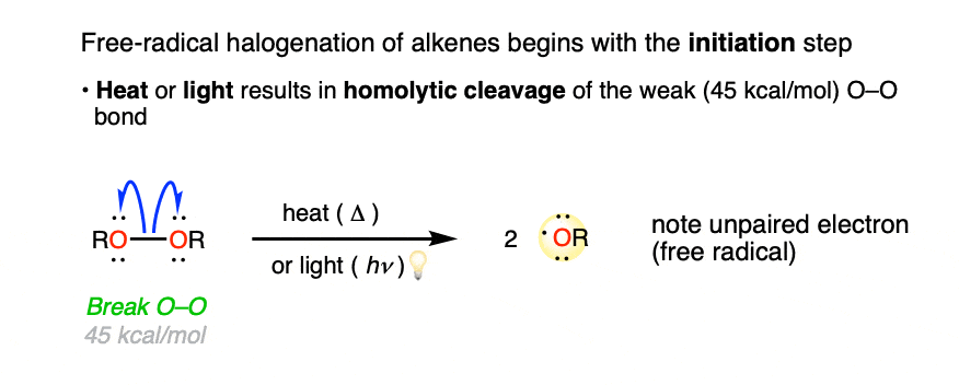 step 1 of free radical adition of hbr to alkenes is initiation homolytic cleavage of peroxide