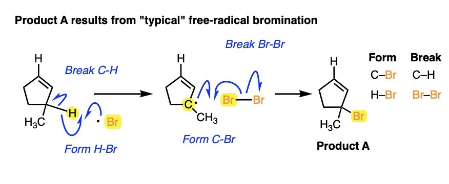 -typical reaction product from allylic bromination of 3 methylcyclopentene