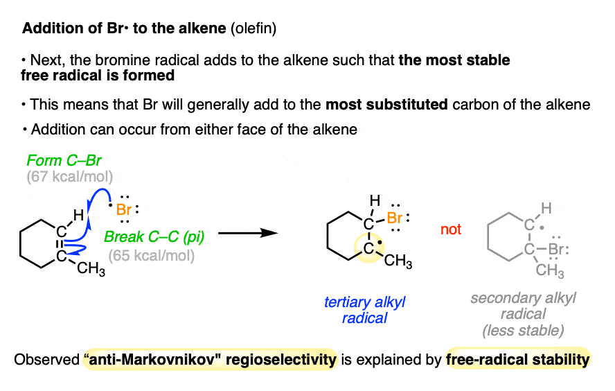 addition of bromine radical to alkene mechanism gives most stable free radical explains anti markovnikov selectivity