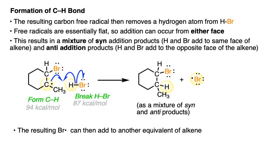 propagation step of free radical addition of hbr to alkenes carbon plucks hydrogen from hbr giving bromine radical