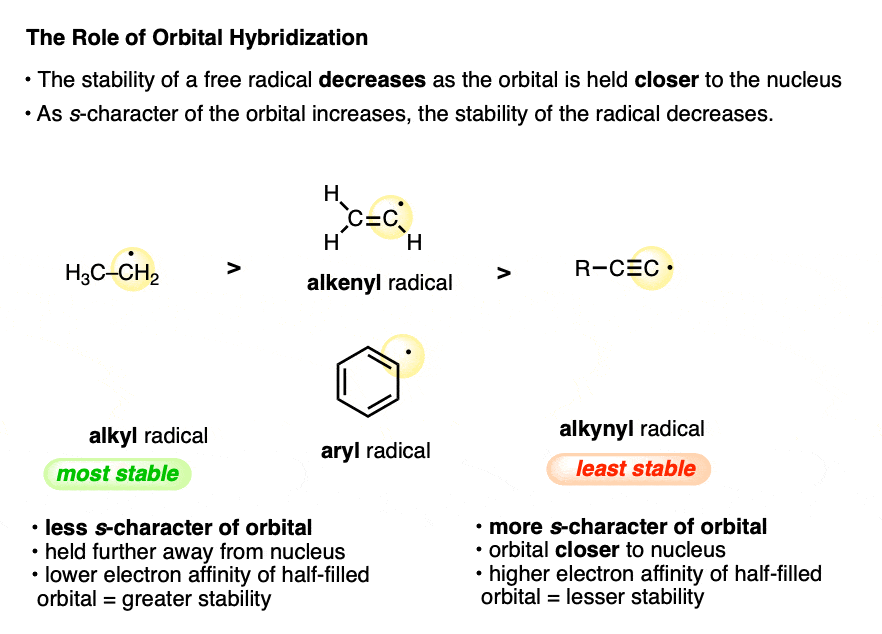 stability of free radical decreases as orbital is held closer to the nucleus higher electron affinity of partially filled orbital
