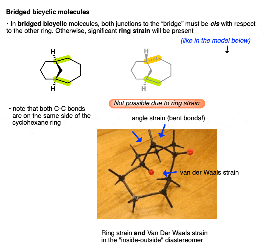 bridged bicyclic molecules must have bridge cis with respet tot the outer ring due to ring strain