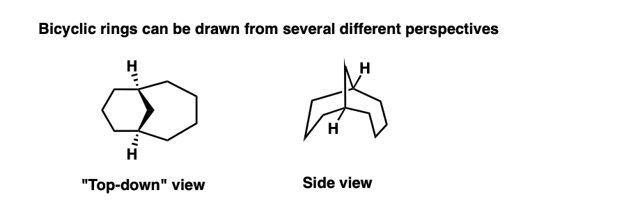 drawing of bicyclic ring from various perspectives