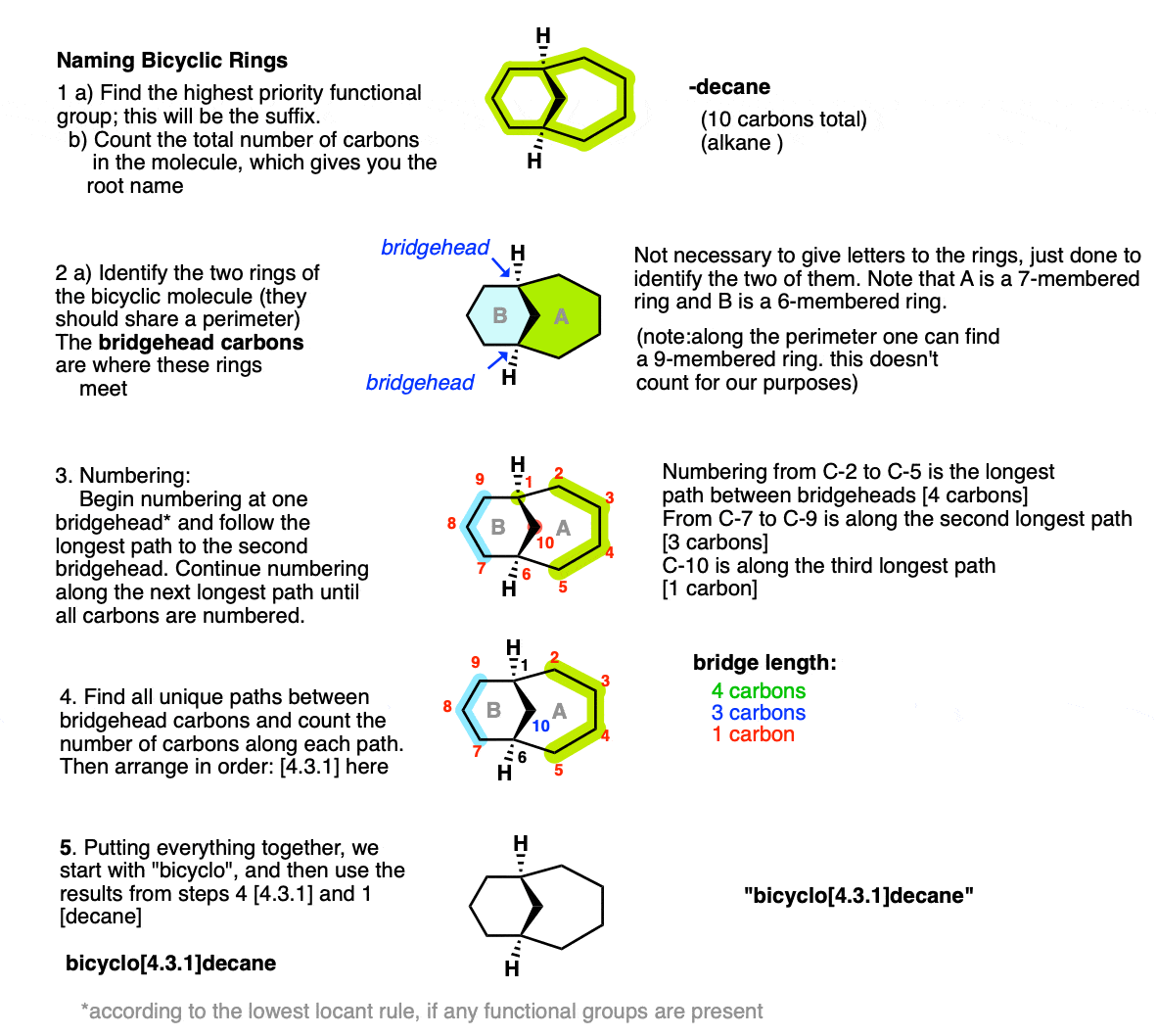 detailed procedure for naming bicyclic rings eg bicyclo 4 3 1 decane